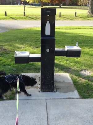 Painesville Rec Park Dog Park