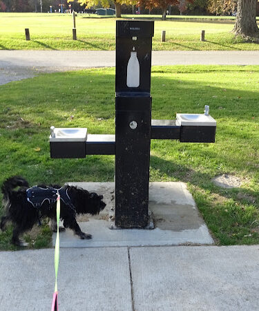 Painesville Rec Park Dog Park