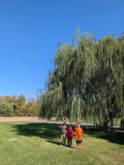 Pandora Park - Pandora, OH