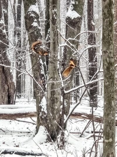 Big Creek Trail Parking - Parma Heights, OH