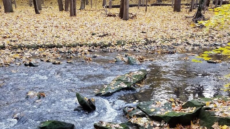 Commons Park - Parma Heights, OH