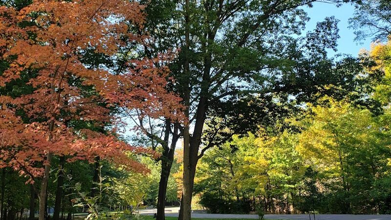 Creekside Shelter at Big Creek Reservation - Parma Heights, OH