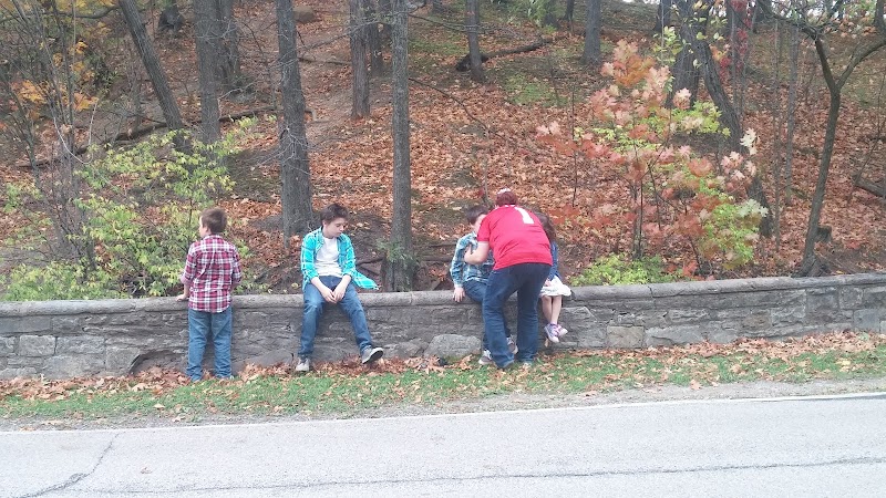 Creekside Shelter at Big Creek Reservation - Parma Heights, OH