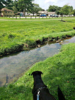 Radlick Park