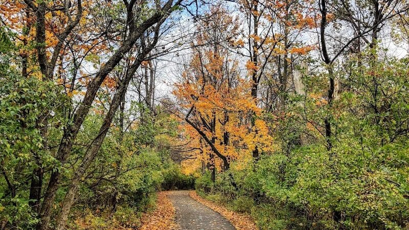 Snow Road Picnic Area - Parma Heights, OH