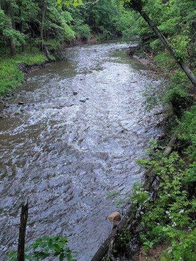 Big Creek Parkway - Parma, OH