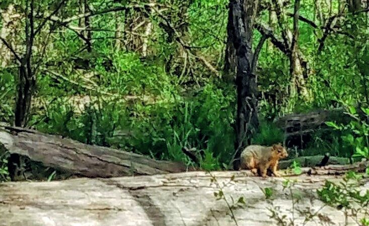 Big Creek Parkway - Parma, OH