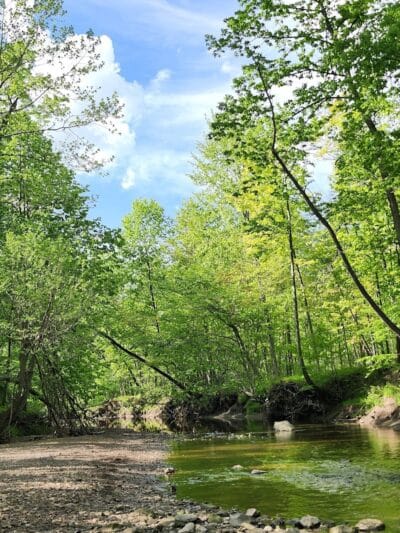 Lower Fern Hill Picnic Area - Parma, OH