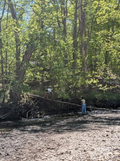Lower Fern Hill Picnic Area - Parma, OH