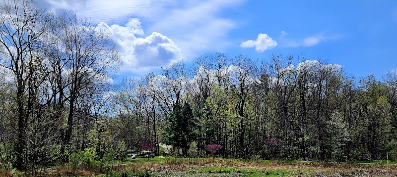 Lower Fern Hill Picnic Area - Parma, OH