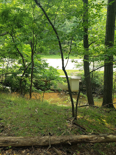 Quiet Wooded Hill