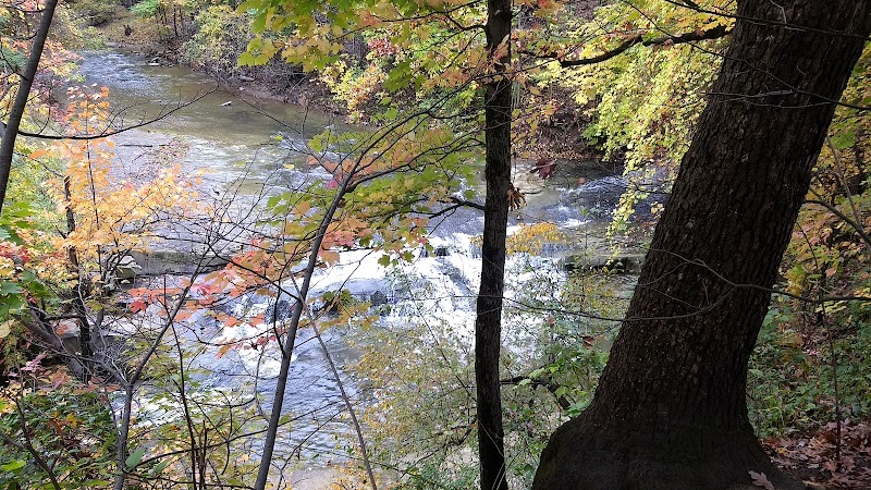 Ravine Falls - Parma, OH