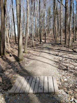 Skyline Overlook Trailhead
