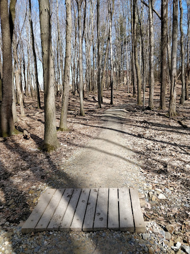 Skyline Overlook Trailhead
