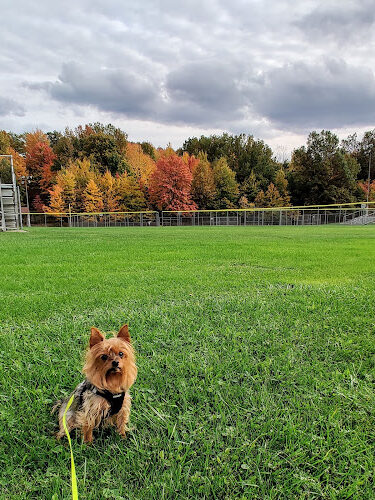 Veterans Memorial Park