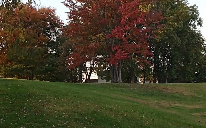 Walters Grove Park - Parma, OH