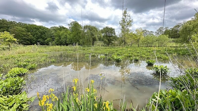 Watershed Stewardship Center - Parma, OH
