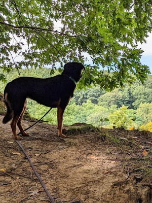 West Creek Reservation