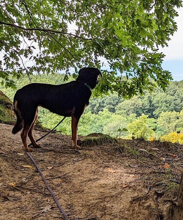 West Creek Reservation