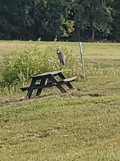 Citizens Park - Pataskala, OH