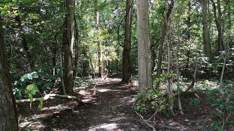 Thomas J. Evans Foundation Park - Pataskala, OH