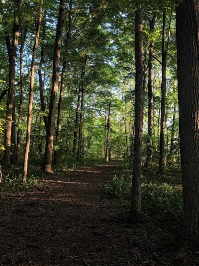 Thomas J. Evans Foundation Park - Pataskala, OH