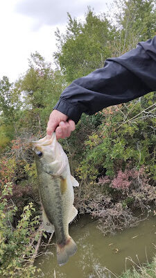 Paulding Reservoir Park