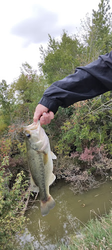 Paulding Reservoir Park