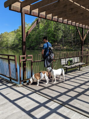 Lake Vesuvius Iron Ridge campground Site 33