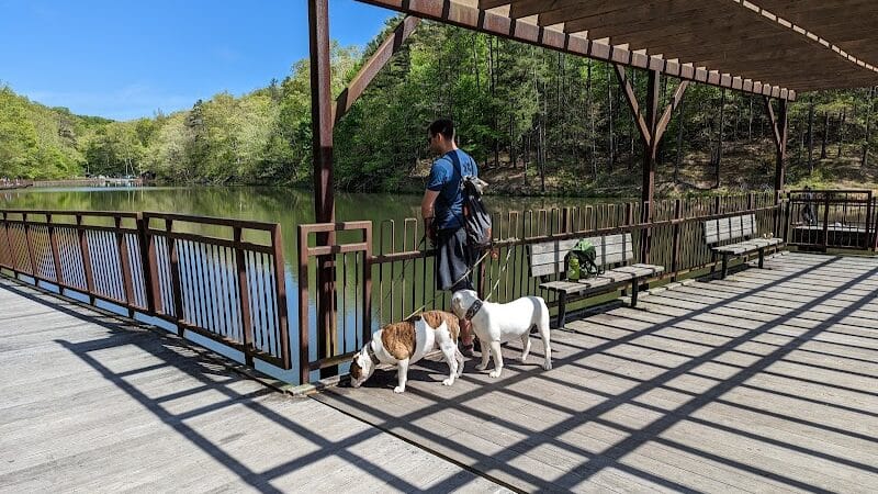 Lake Vesuvius Iron Ridge campground Site 33 - Pedro, OH