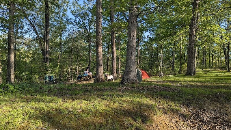 Lake Vesuvius Iron Ridge campground Site 33 - Pedro, OH