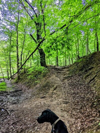 Lake Vesuvius Recreation Area - Pedro, OH