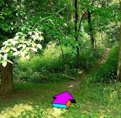 Lake Vesuvius Roadside Shelter - Pedro, OH