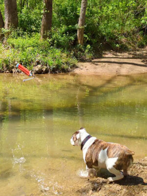 Paddle Creek Hiking Trails