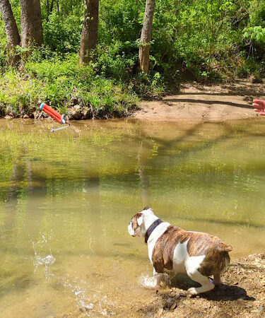 Paddle Creek Hiking Trails