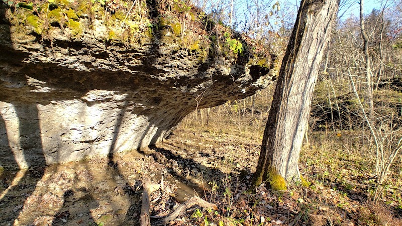 Shoemaker State Nature Preserve - Peebles, OH