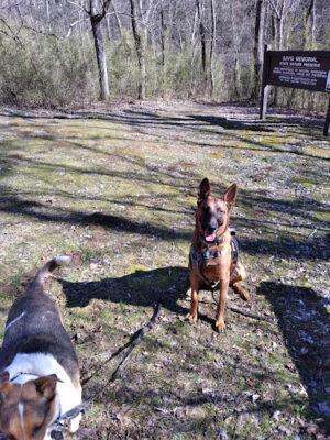 Shoemaker State Nature Preserve