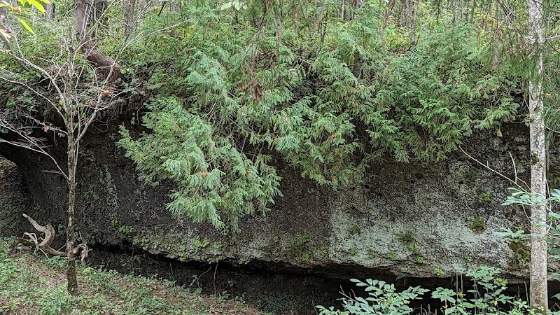 Shoemaker State Nature Preserve - Peebles, OH