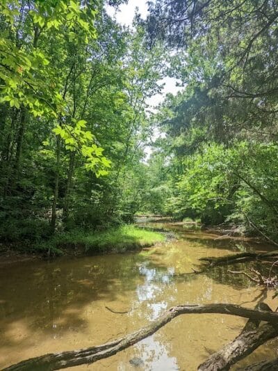 Shoemaker State Nature Preserve - Peebles, OH