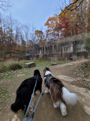Deep Lock Quarry Metro Park