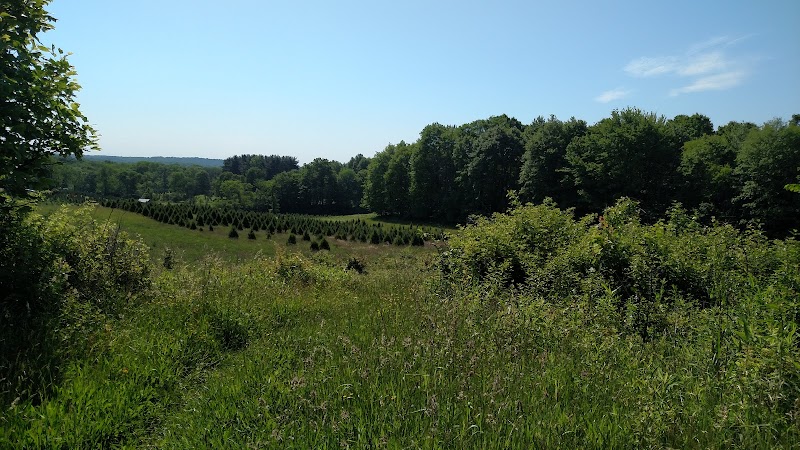 Horseshoe Pond - Peninsula, OH