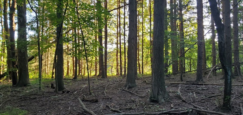 Horseshoe Pond - Peninsula, OH