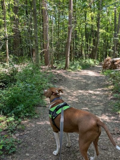 Oak Hill Trailhead - Peninsula, OH