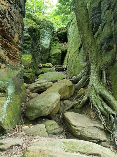 Octagon Shelter - Peninsula, OH