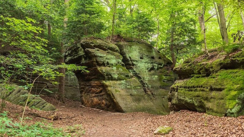 Pine Grove Trail Head - Peninsula, OH