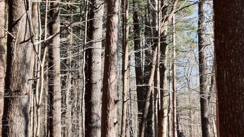 Pine Grove Trail Head - Peninsula, OH