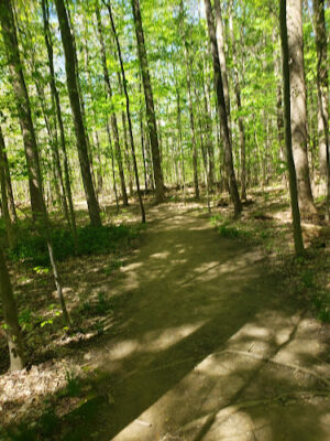 Pine Grove Trail Head