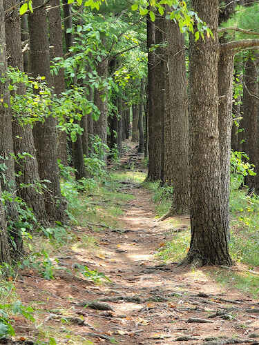 Pine Lane Trailhead_Buckeye Trail