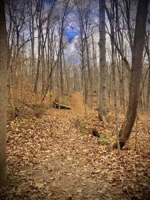 Riding Run Conservation Area