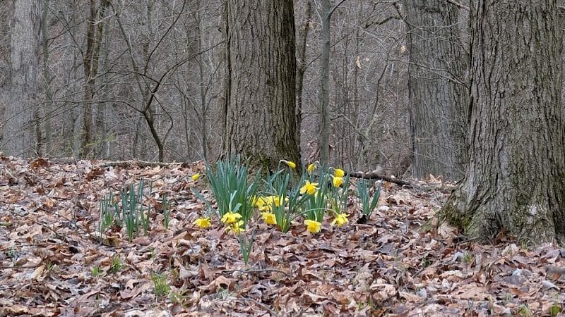 Stanford Trailhead - Peninsula, OH